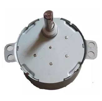 Reversible Synchronous Motor for Disher Washer Fan Motor 