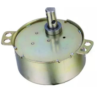 Synchronous Motor 49TYJ 